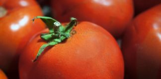Dieta z sokiem pomidorowym
