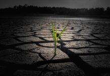 Czym smarować popękane palce u rąk? Czym smarować popękane palce u rąk?