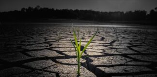 Czym smarować popękane palce u rąk?