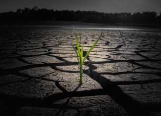 Czym smarować popękane palce u rąk? Czym smarować popękane palce u rąk?