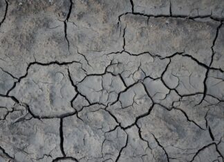 Czym smarować Popękane skórki?