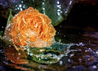 W czym moczyć paznokcie żeby były twarde? W czym moczyć paznokcie żeby były twarde?