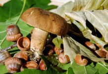 Co zrobić żeby wargi sromowe były Jędrniejsze? Co zrobić żeby wargi sromowe były Jędrniejsze?