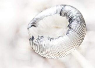 Jak zrobić idealne kreski na oczach?