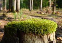 Jak szybko zregenerować zniszczone dłonie? Jak szybko zregenerować zniszczone dłonie?