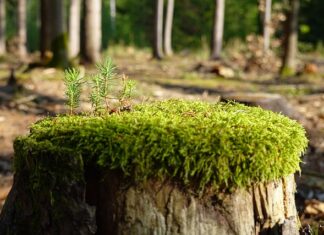 Jak szybko zregenerować zniszczone dłonie? Jak szybko zregenerować zniszczone dłonie?