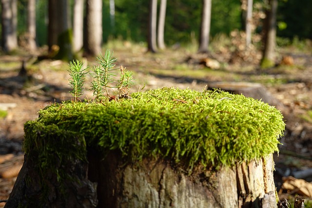 Jak szybko zregenerować zniszczone dłonie? Jak szybko zregenerować zniszczone dłonie?