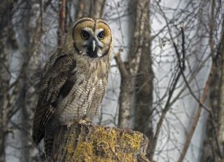 Jak zdjąć hybrydę bez acetonu i frezarki? Jak zdjąć hybrydę bez acetonu i frezarki?