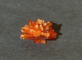 Czy brak potasu w organizmie objawia się poceniem? Czy brak potasu w organizmie objawia się poceniem?