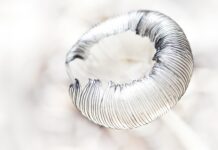 Jakie kreski do jakiej twarzy? Jakie kreski do jakiej twarzy?