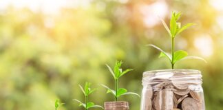 Czy częste czesanie włosów przyspiesza ich wzrost?