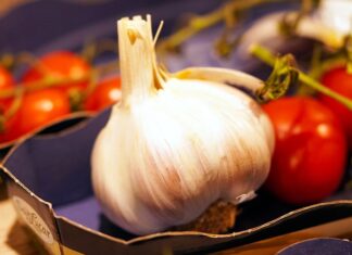 Jak należy myć główkę fryzjerską?