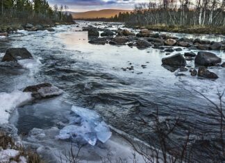 Dlaczego śmierdzę?