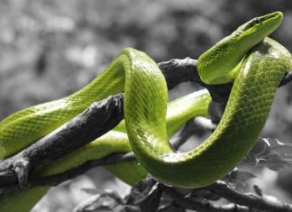 Czy kreska na górnej powiece postarza?