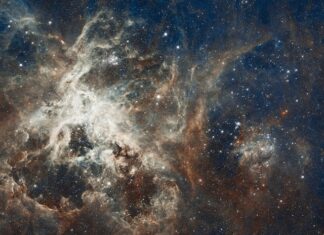 Jak wygląda twarz 30 latki? Jak wygląda twarz 30 latki?