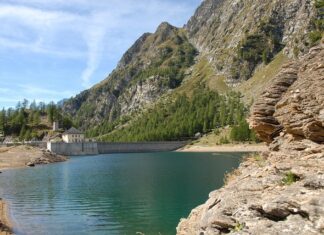 Czy powinno się golić z włosem czy pod włos?