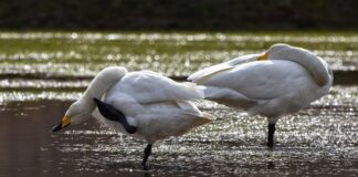 Dlaczego swędzi mnie skóra po kąpieli?